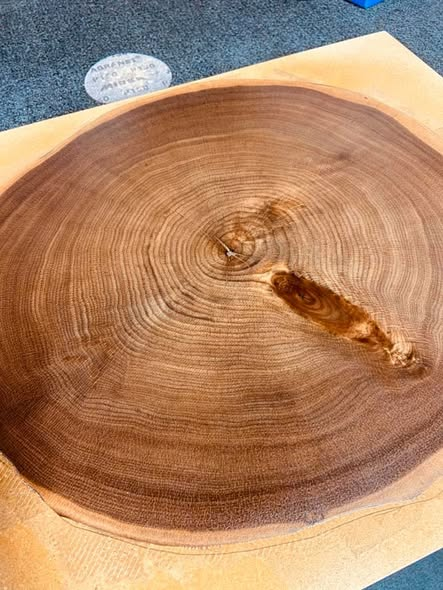 A single round cross-section slice of walnut veneer showing concentric growth rings and a dramatic branch knot, vacuum pressed onto an MDF panel.